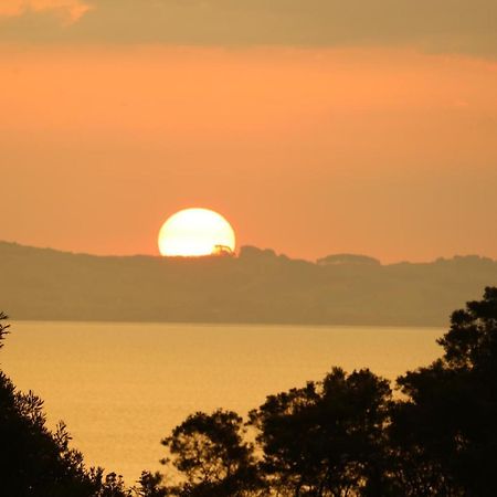 Waiotahi Valley Lodge Thames Dış mekan fotoğraf