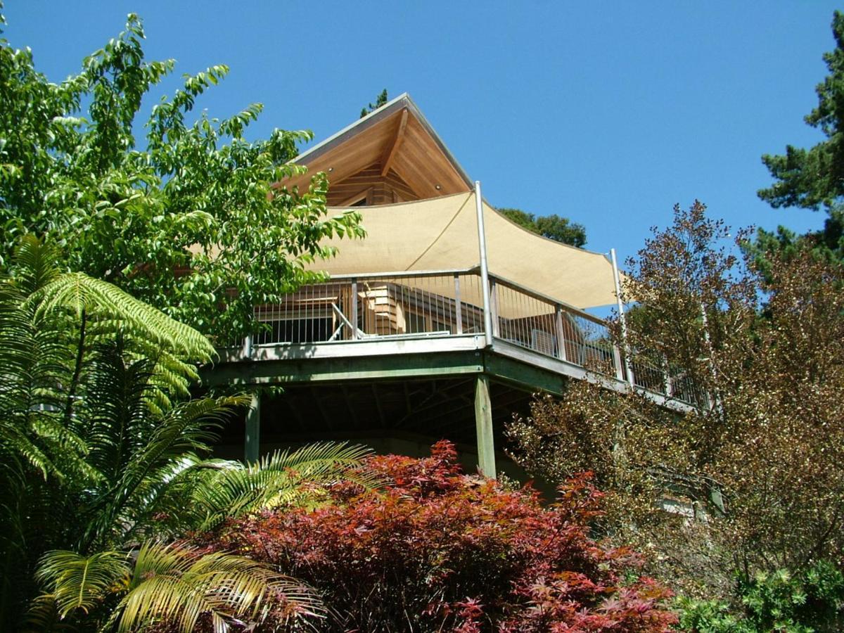 Waiotahi Valley Lodge Thames Dış mekan fotoğraf