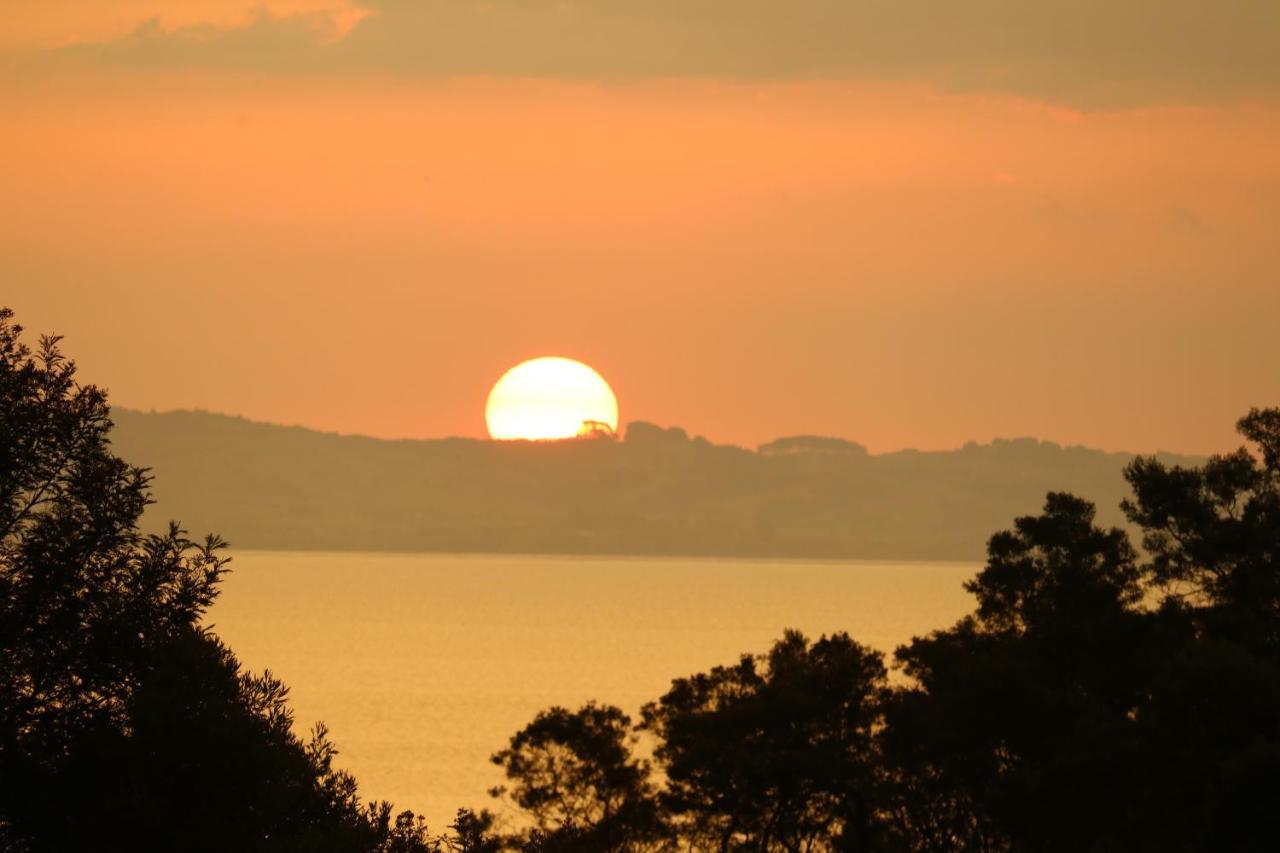 Waiotahi Valley Lodge Thames Dış mekan fotoğraf